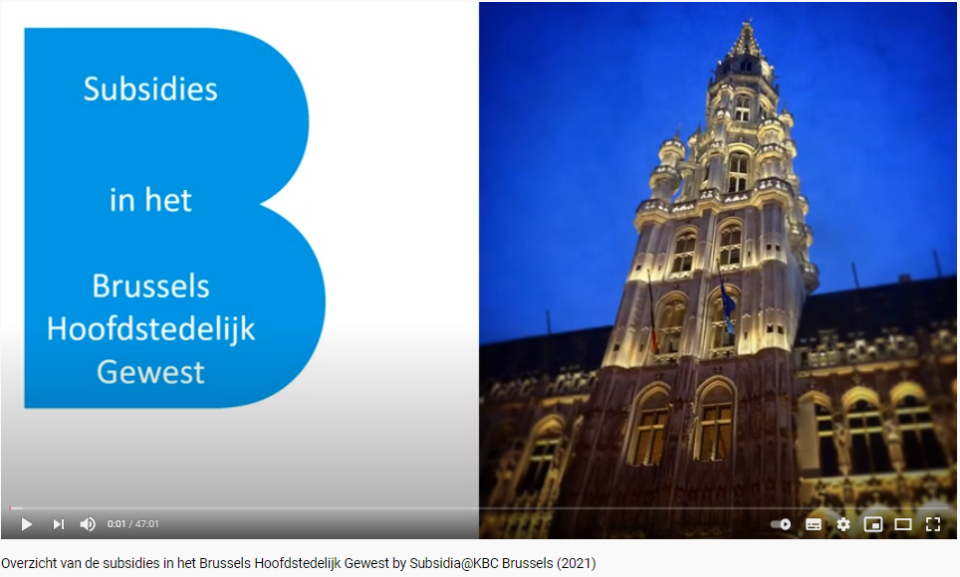Subsidia webinar: Overzicht van de subsidies in het Brussels Hoofdstedelijk Gewest susidia-webinar-subsidies-bedrijven