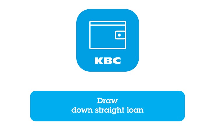 Drawing Down Straight Loans In Kbc Brussels Business Dashboard