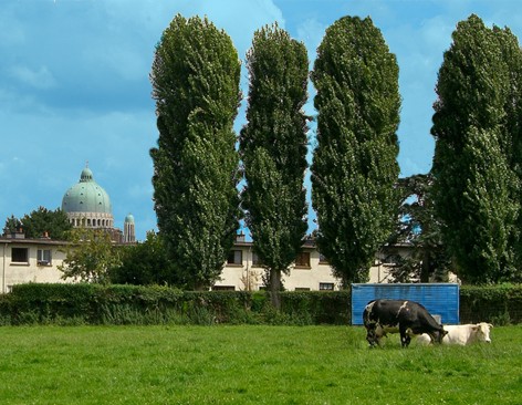 Zavelenberg Zavelenberg