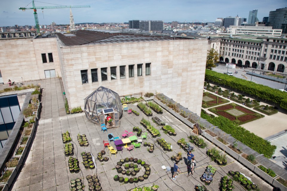 Toit de la Bibliothèque Royale avec son potager royale-toit-potager
