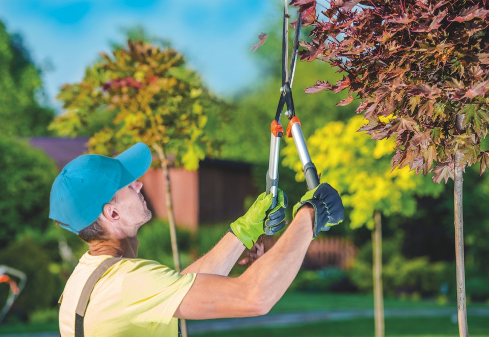 Geen groene vingers? De groendienst van ONS maakt van je tuin een oase! Met Happy@Home wordt je tuin piekfijn onderhouden.